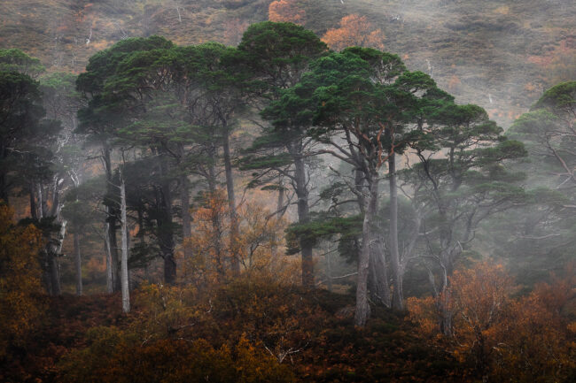 Paysage Ecosse - Nicolas Rottiers Photographe Normandie