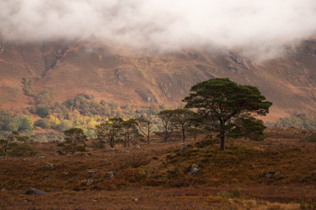Paysage Ecosse - Nicolas Rottiers Photographe Normandie