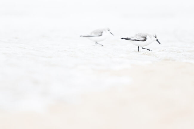 nicolas rottiers photographe calvados estrans de lumière