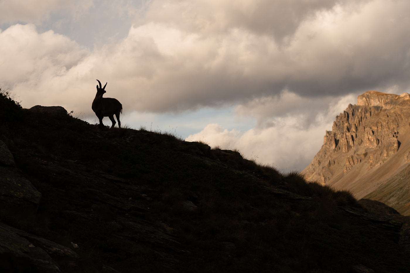 trek vanoise nicolas rottiers
